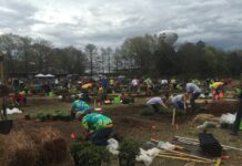 NALP NCLC 2016 Plant Installation