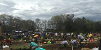 NALP NCLC 2016 Plant Installation