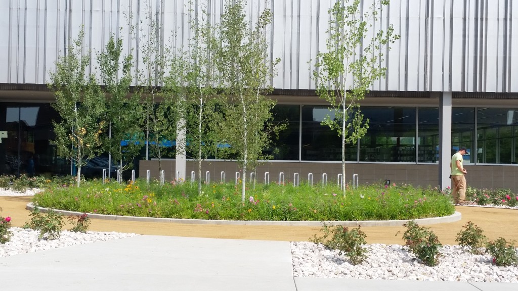 The new Billings Public Library was received LEED Platinum. PHOTO: River Ridge Landscape Co.