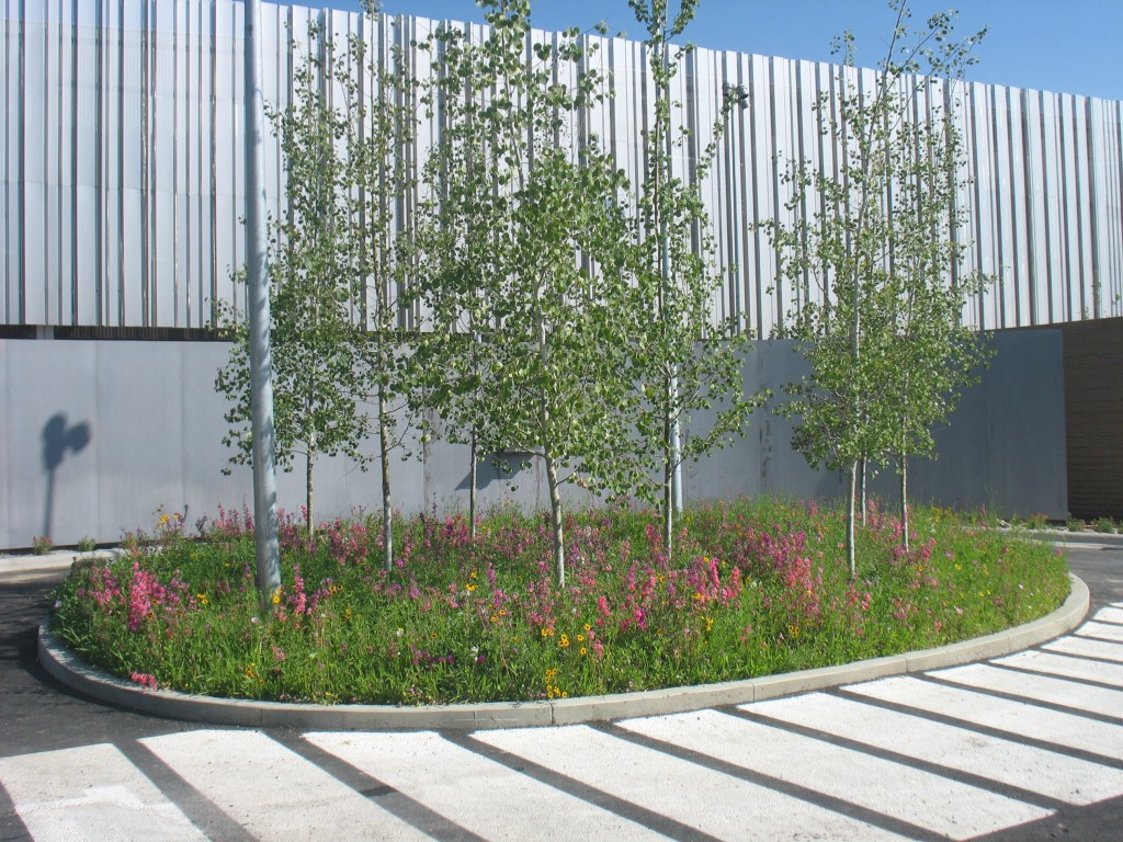 There’s a landscape island between each of the rows of parking. PHOTO: River Ridge Landscape Co.