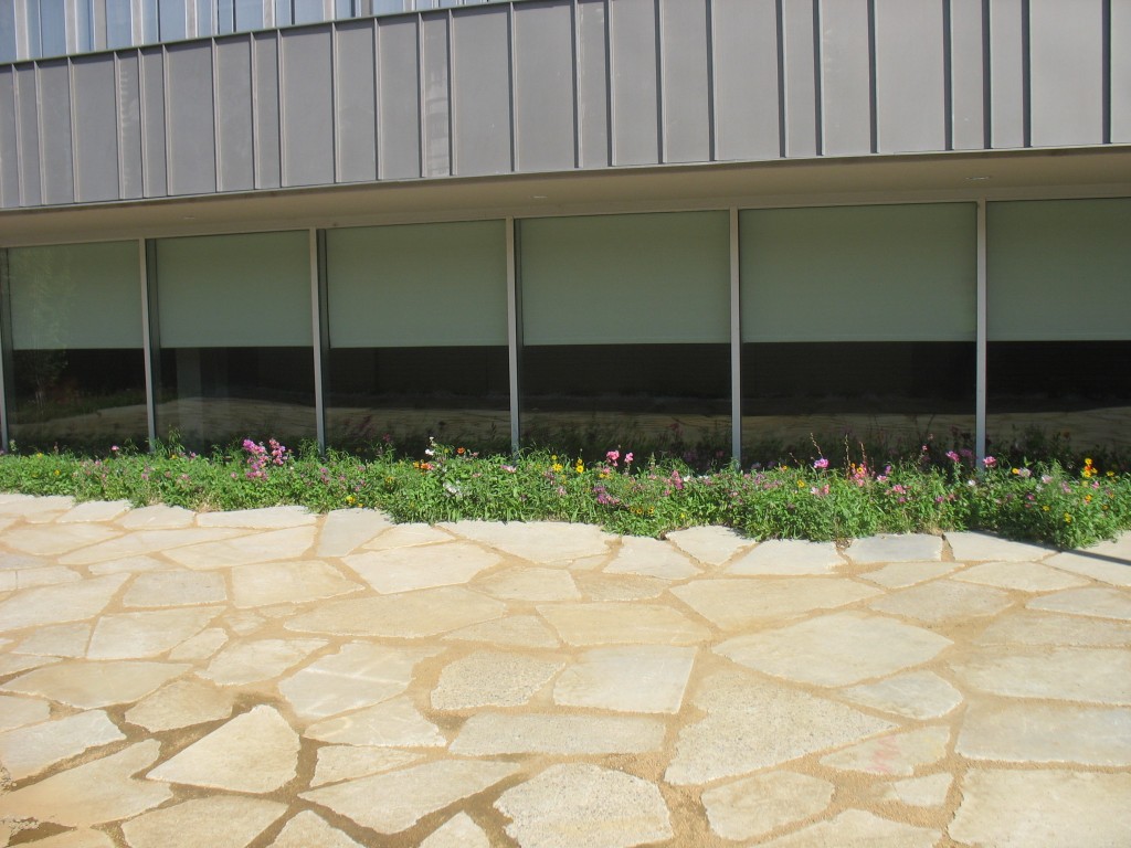 The heavy pieces of recycled concrete ranged in thickness from 4 to 6 inches, so trying to get it level was challenging. PHOTO: River Ridge Landscape Co.