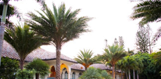 The Port Royal Residence, W. Christian Busk Landscape Architect and Busk & Associates
