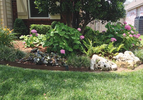 landscape border