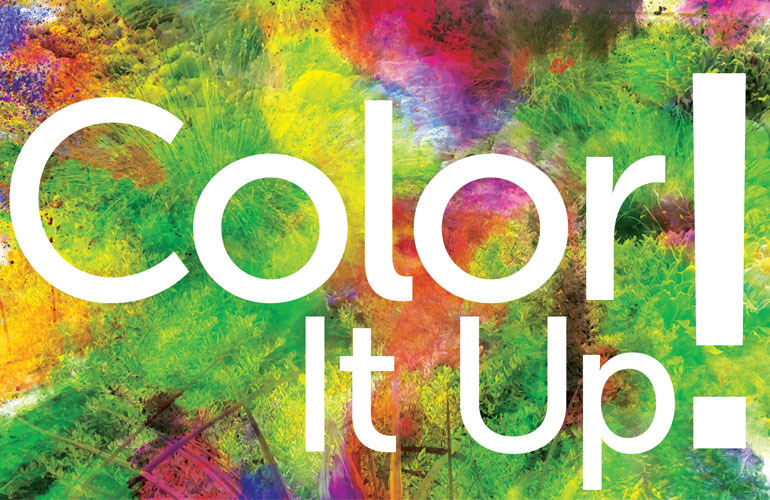 Color It Up!