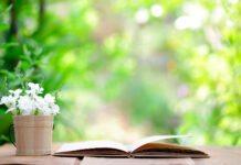 book on table outside