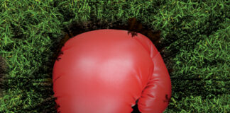 Fighting for Growth in Lawn Care