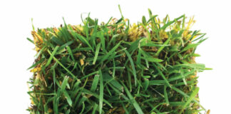 Turfgrass: Friend or Foe?