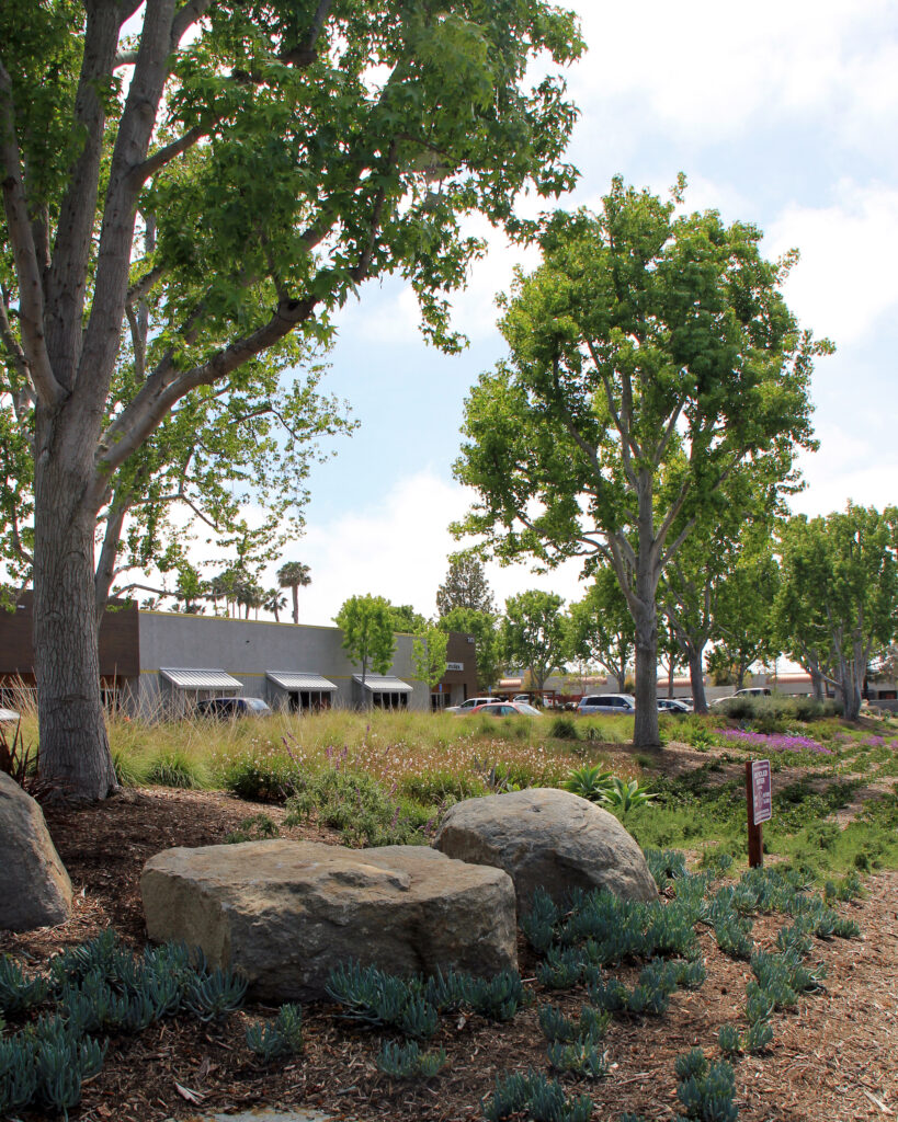 Palomar Tech Center