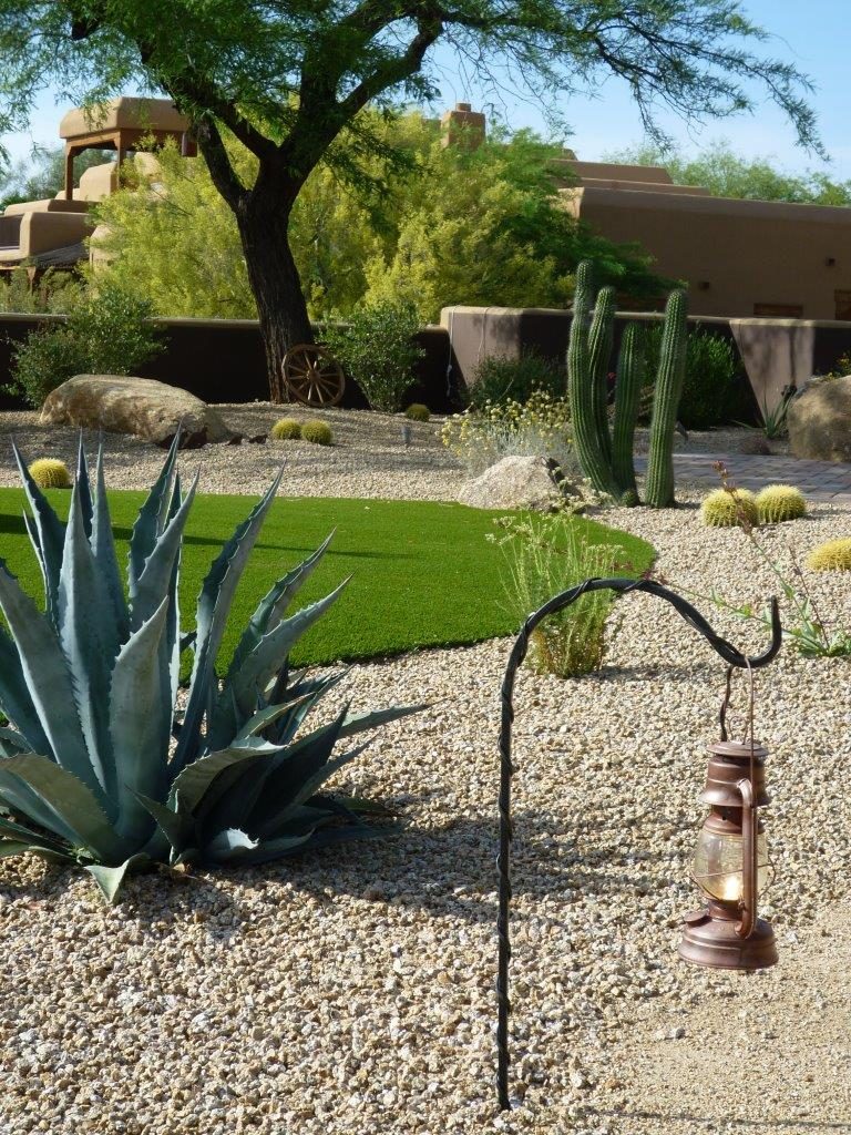 Sonoran Desert plants