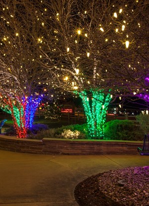 holiday lighting