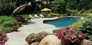 Hardscape Patio with Pool