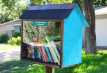 Little Free Library, Austin, LawnStarter