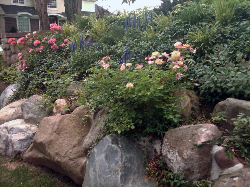 living wall and bolders Vee’s Botanicals