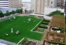 909-walnut-kansas-city-green-roof