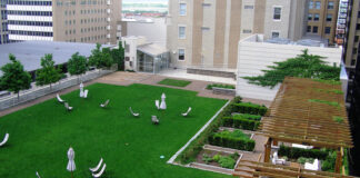 909-walnut-kansas-city-green-roof
