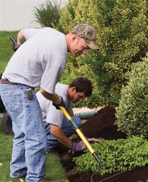 mulching