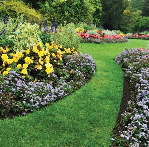 Edging and trimming beds