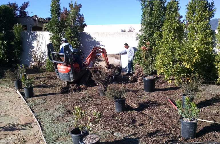 Soil and plant selection update