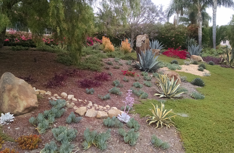 Region-appropriate plants