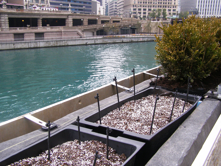 Even though green roofs are meant to be self-sustaining, proper irrigation is vital for successful projects. PHOTO: Jeffrey L. Bruce LLC