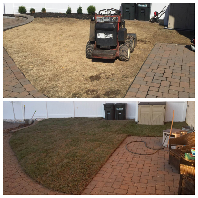 PHOTO: Eason Scapes & Services