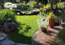 Hansen Landscape Contractor Patio
