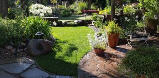 Hansen Landscape Contractor Patio