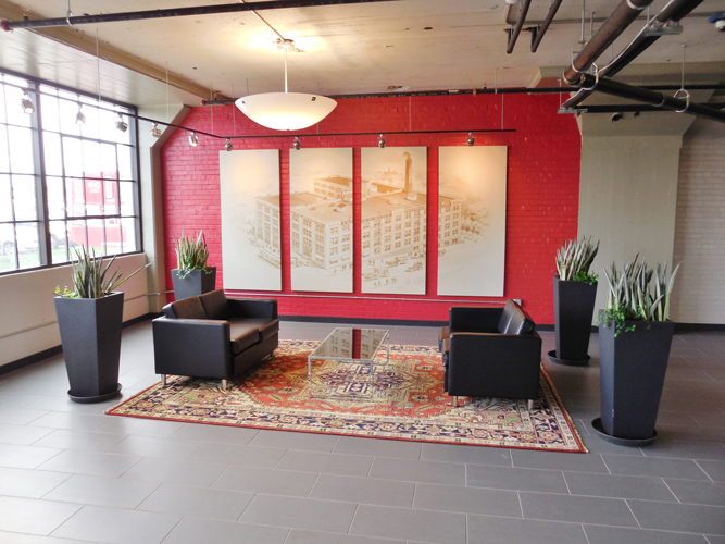 Lobby landscaping Jacrist Gardening Services
