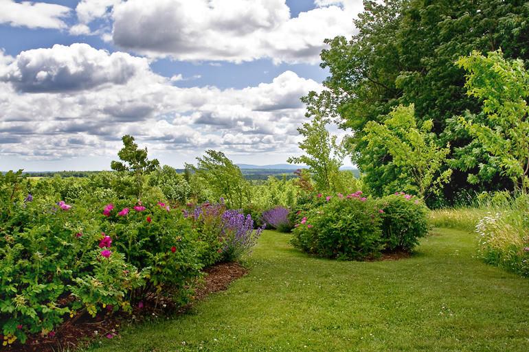 PHOTO: Matthew Cunningham Landscape Design