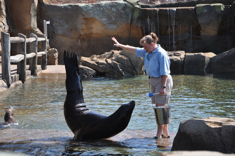 Louisville Zoo Glacier Run exhibit