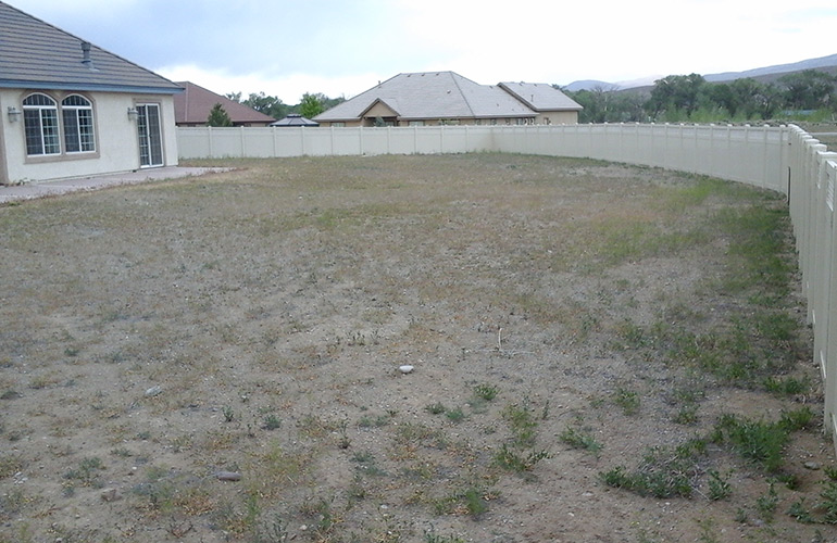 Before: Nevada backyard with weeds