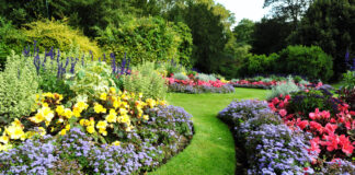 Landscape Bed Edging