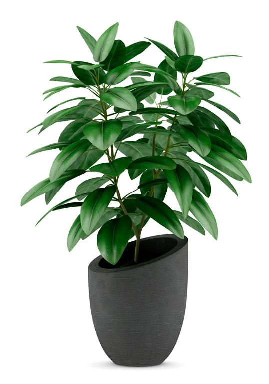 Use plastic or fiberglass versus real clay pots. Photo: iStock