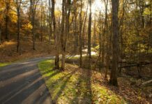 Louisville Parklands