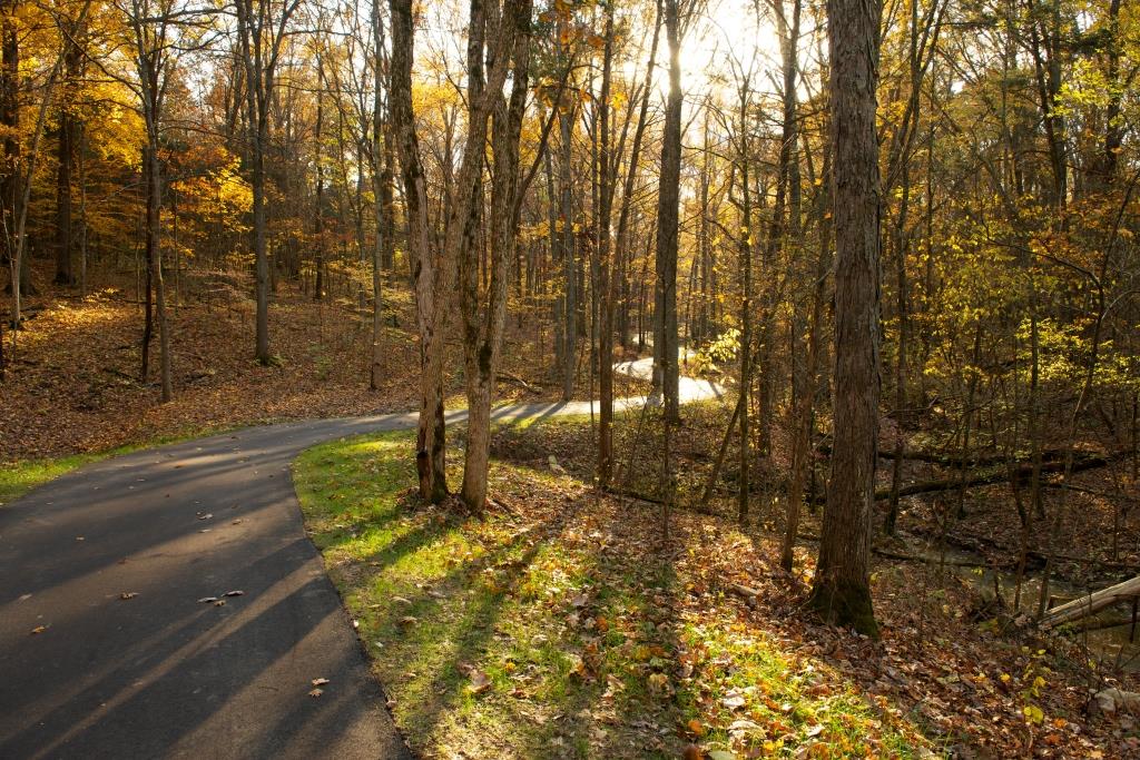 Louisville Parklands