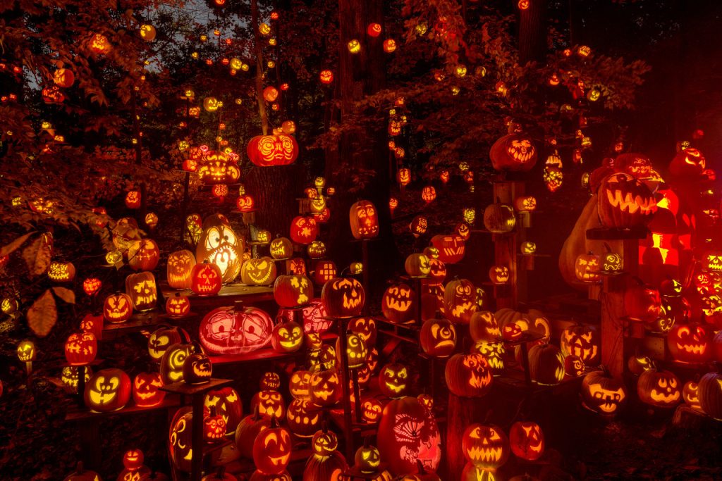 PHOTO: Courtesy of Louisville Jack O' Lantern Spectacular