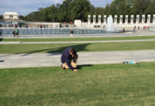 Bermudagrass at WWII Memorial