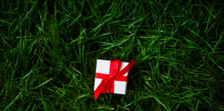 Gift box on grass