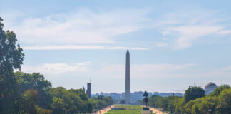 Renovating America’s Front Lawn