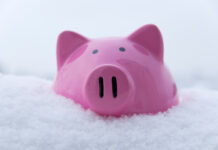 Piggy bank in the snow
