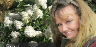 Roots: Arlena G. Schott