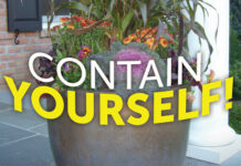 Contain Yourself