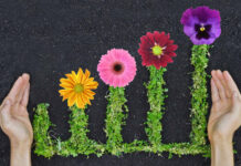 Gardeners Spent $36 Billion in 2015