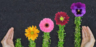 Gardeners Spent $36 Billion in 2015