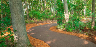 When Humans and the Environment Benefit