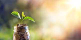 plant, money growth