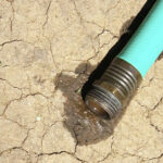 drought