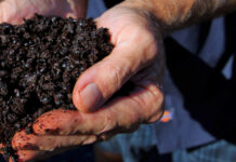 How to Make Mulching Work For You