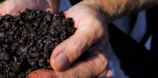 How to Make Mulching Work For You