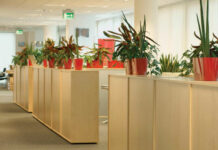 Plants Boost Worker Morale